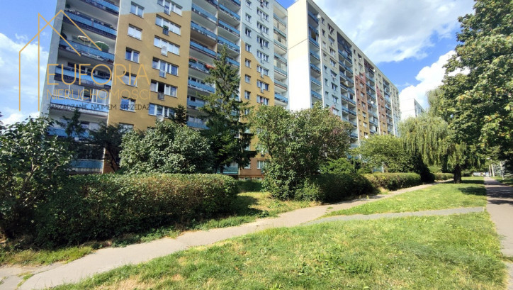 Mieszkanie Wynajem Łódź Łódź-Polesie 14